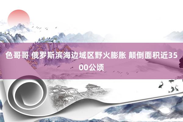 色哥哥 俄罗斯滨海边域区野火膨胀 颠倒面积近3500公顷