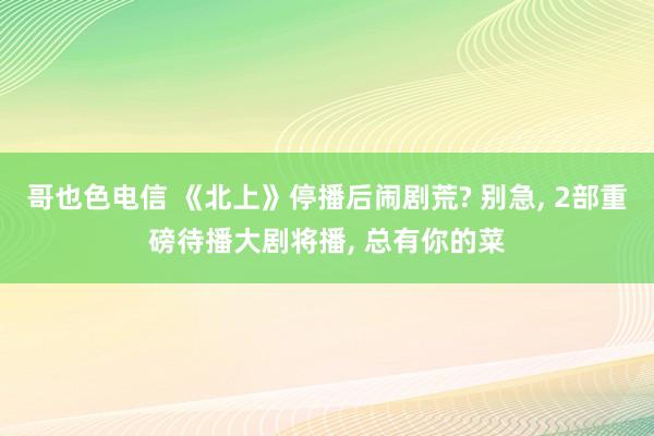 哥也色电信 《北上》停播后闹剧荒? 别急, 2部重磅待播大剧将播, 总有你的菜